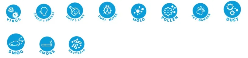 diagram of particles that are filtered out of the air