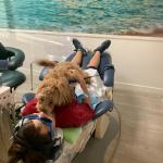 Phoebe playing with a patient