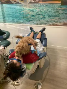 Phoebe playing with a patient