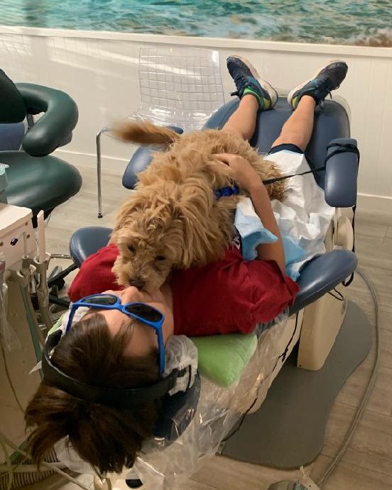 Phoebe playing with a patient