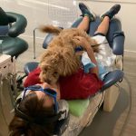 Phoebe playing with a patient